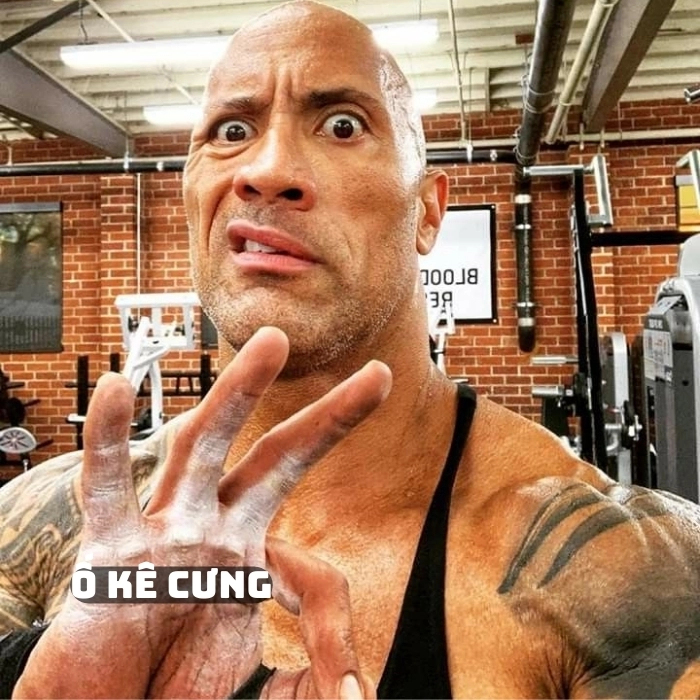the rock meme ok