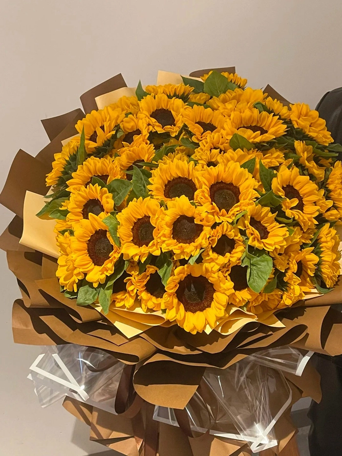 Ảnh bó hoa hướng dương đẹp mắt