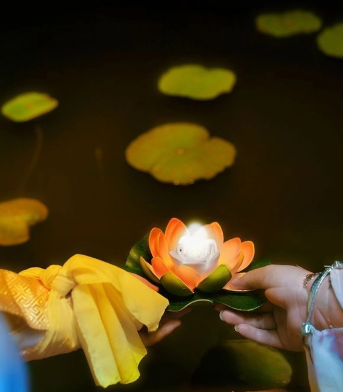 Ảnh hoa đăng giản dị mà đẹp