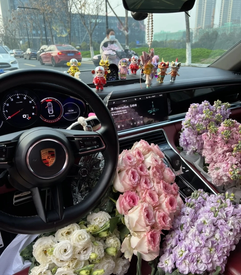 Ảnh hoa trên xe ô tô gắn capo