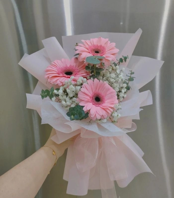 Hình ảnh bó hoa đồng tiền nổi bật