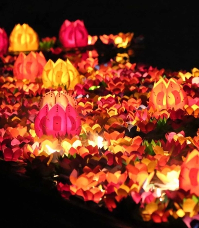 Hình ảnh đèn hoa đăng gần gũi thiên nhiên