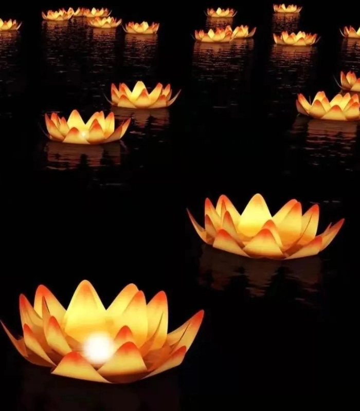 Hình ảnh hoa đăng với ánh sáng ấm áp