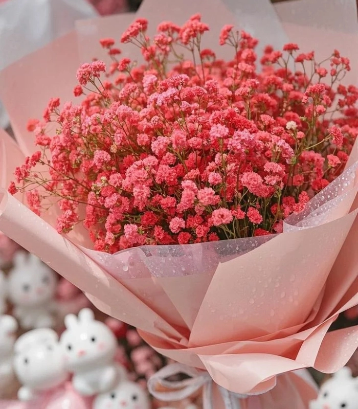 ảnh hoa nhí màu hồng