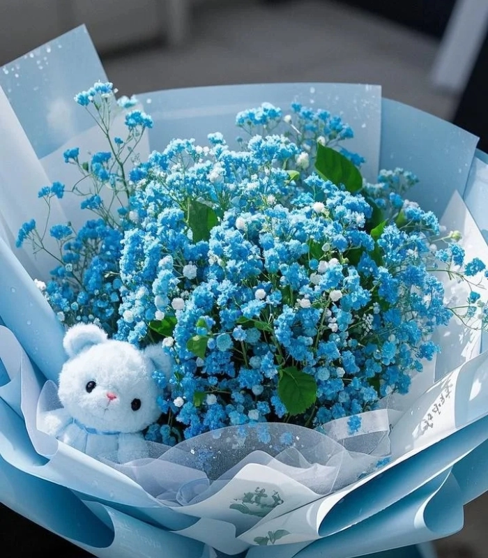 ảnh hoa nhí màu xanh dương