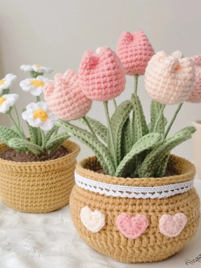 Ngắm 222+ hình ảnh hoa len siêu xinh, chill quên lối về 🌼