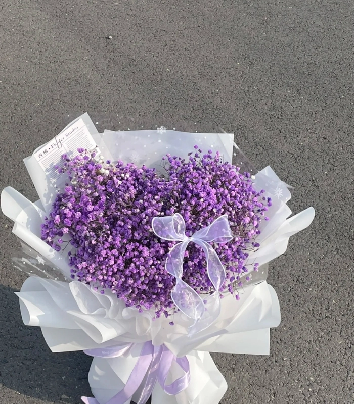 hoa nhí màu tím đẹp mắt