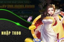 Đăng Nhập TK88 – Hướng dẫn các bước dễ như trở bàn tay