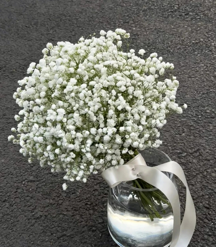 những bông hoa nhí tươi sáng