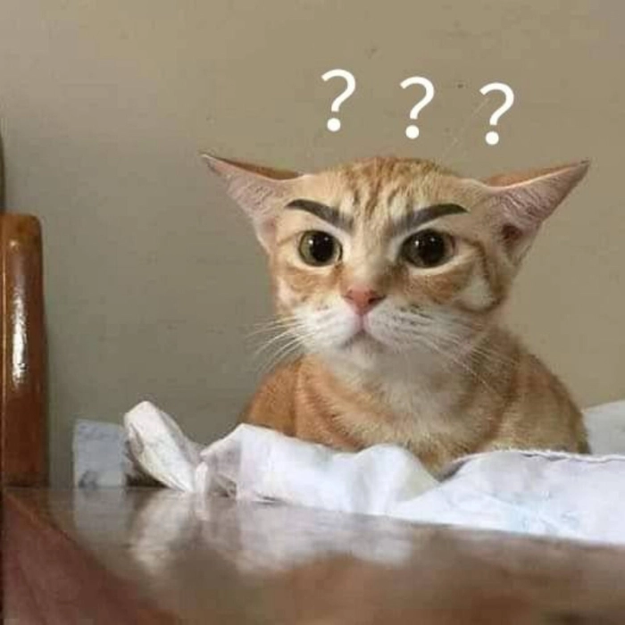Ảnh meme bựa dễ thương