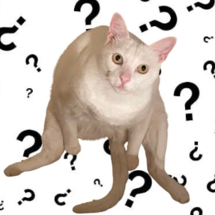 Ảnh meme bựa độc quyền