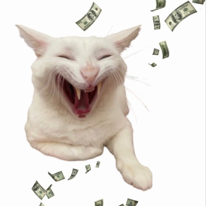 Ảnh meme hài hước bựa