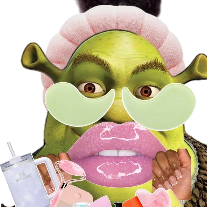 Ảnh meme slay chất