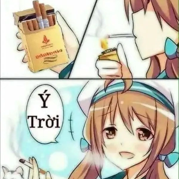 Hình ảnh meme ý trời troll face