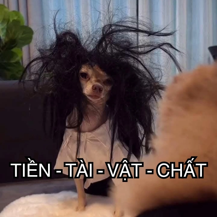 Meme bựa troll cực mạnh