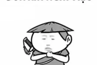 Meme cáo từ: Tuyệt phẩm ảnh chế rời đi trong im lặng