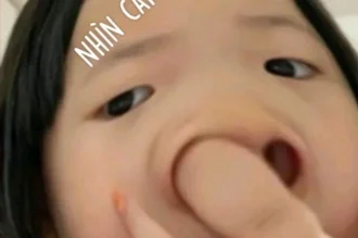 Cười không nhặt được mồm với 189+ ảnh meme bựa lầy lội 