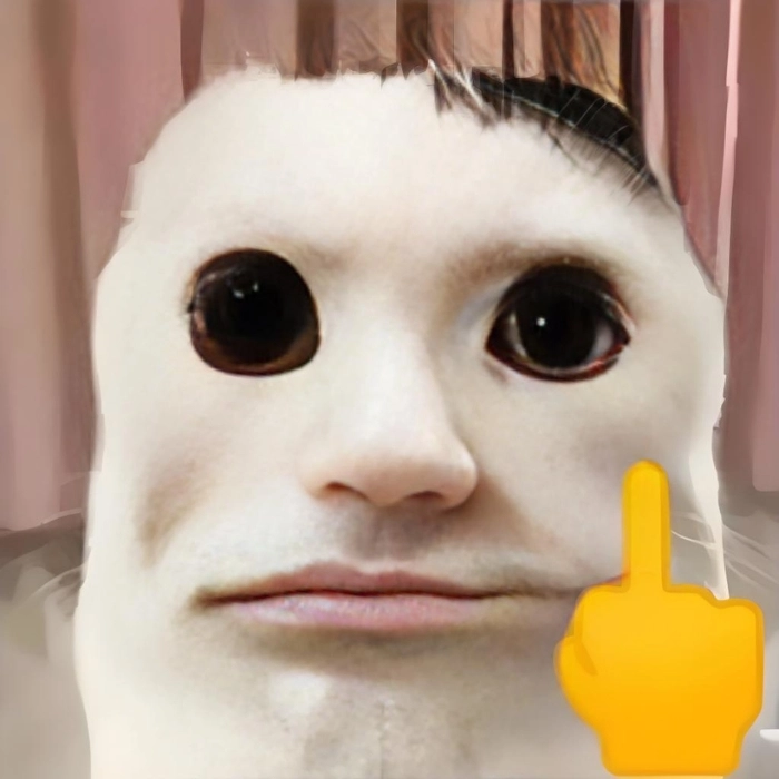 Meme mèo bựa đáng yêu