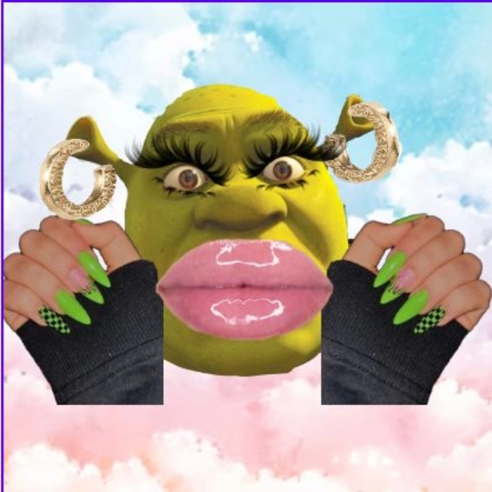 Meme slay meme lườm cháy