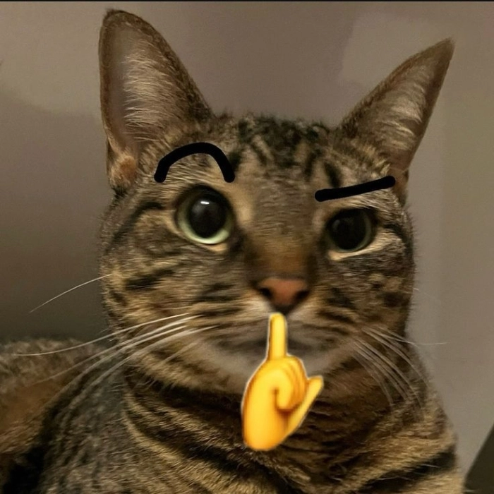 Meme suỵt ảnh chế hot