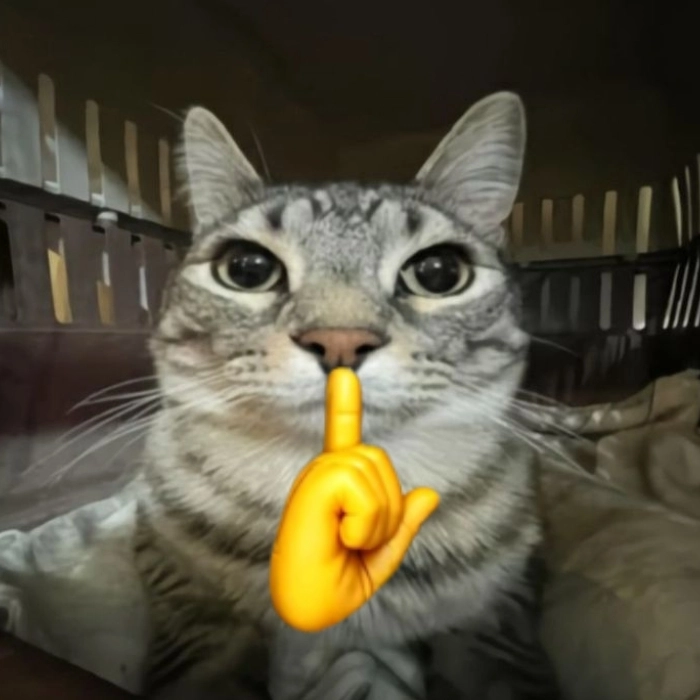 Meme suỵt để cảnh báo