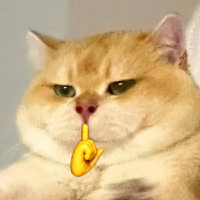 Meme suỵt dùng khi quá mệt để cãi