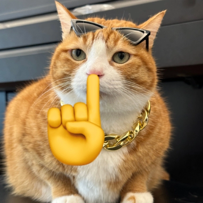 Meme suỵt đúng lúc