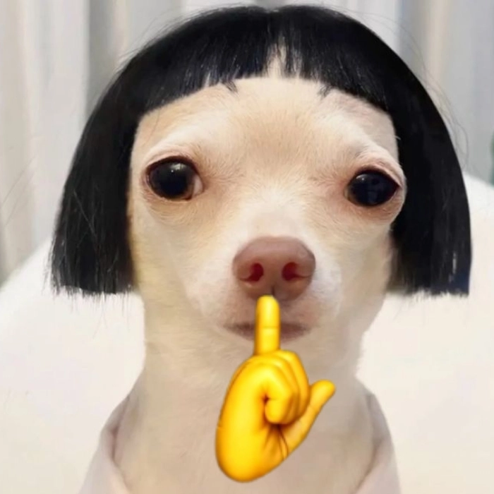 Meme suỵt hài hước