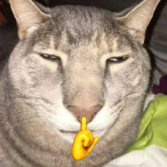 Meme suỵt nhẹ mà thấm