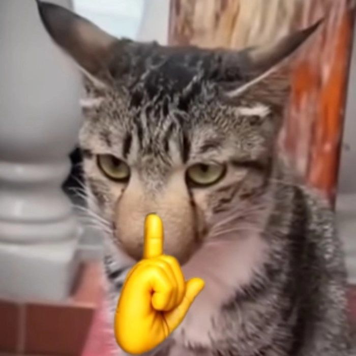 Meme suỵt phiên bản hoạt hình