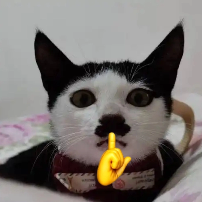 Meme suỵt phong cách Gen Z