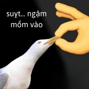 Meme suỵt trend tiktok