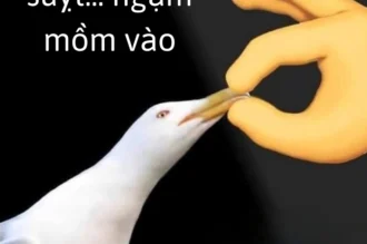 Top meme suỵt: Khi im lặng chính là đòn chí mạng