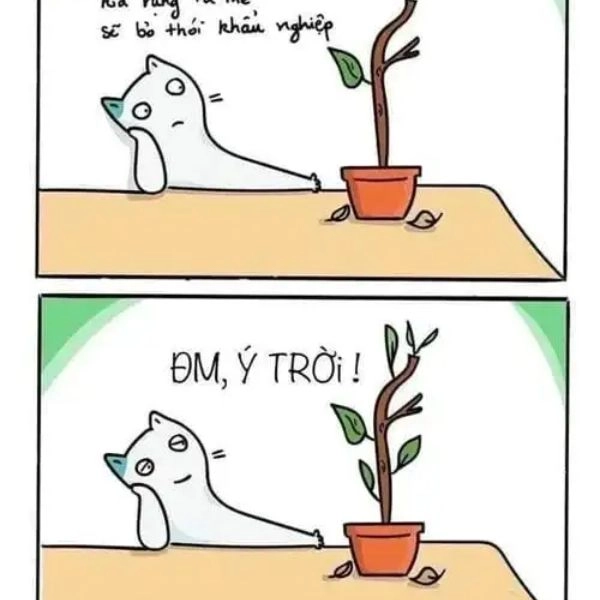 Meme ý trời chế chất