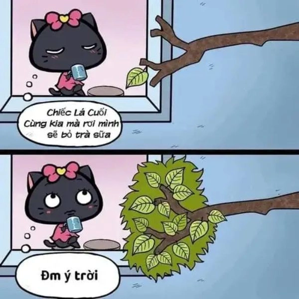 Meme ý trời tạo nghiệp
