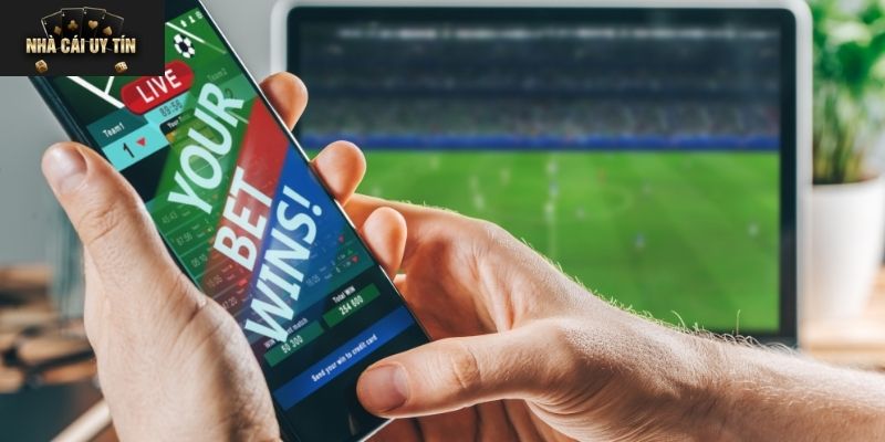 Top Nhà Cái Uy Tín
