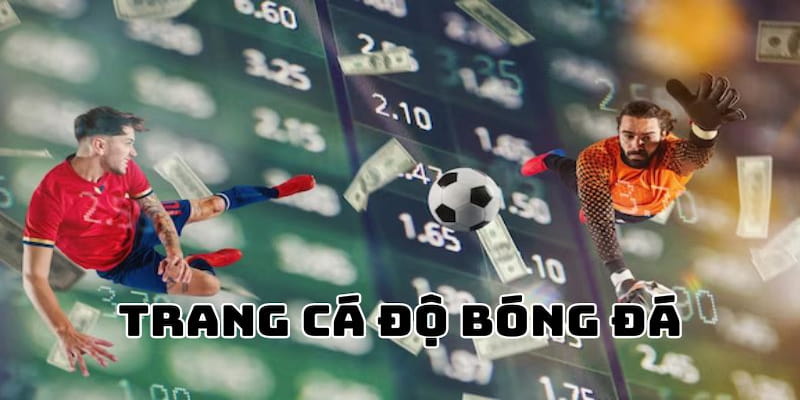 Trang Cá Độ Bóng Đá