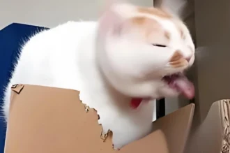 Xem ngay loạt meme oẹ siêu hài khiến bạn cười ra nước mắt
