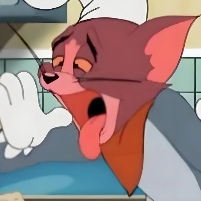 meme mèo tôm oẹ nôn