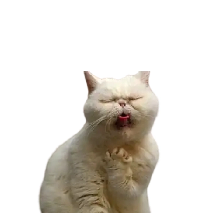 meme oẹ