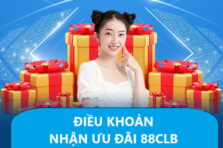 Khuyến Mãi Bk8 – Tổng Hợp Ưu Đãi Hấp Dẫn Nhất 2024