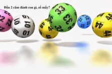 Giải mã bí mật đầu đít lô câm: Cách đánh hiệu quả