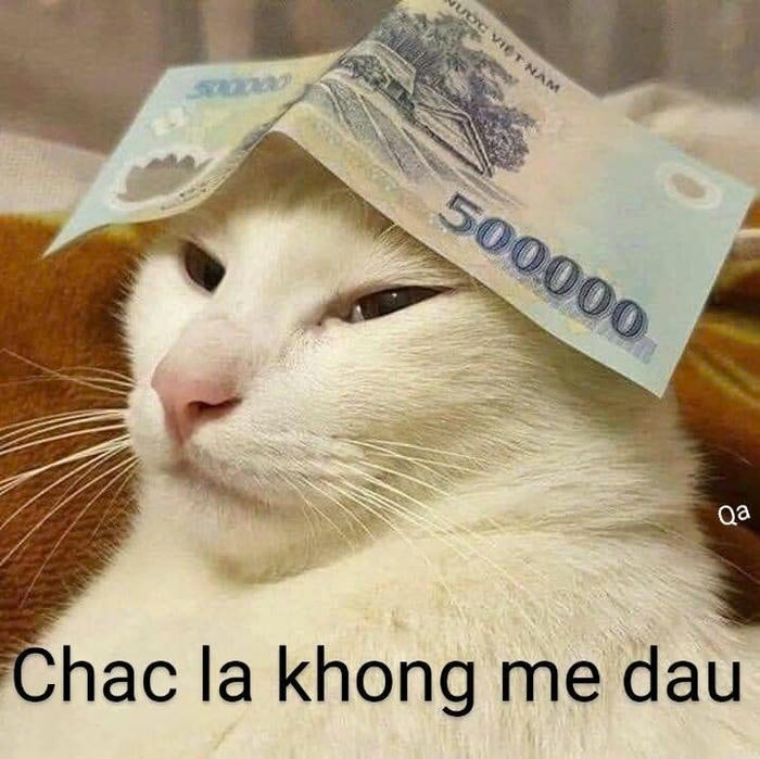 Meme tiền vui