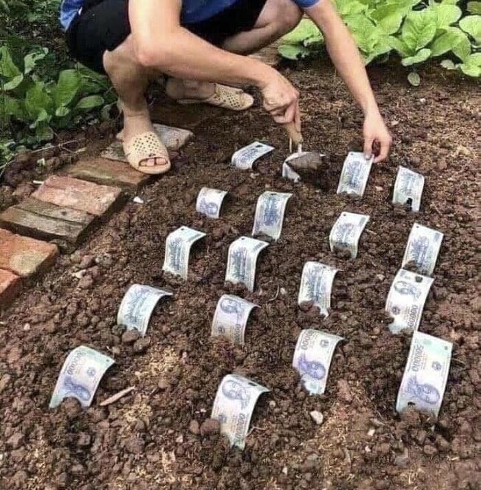 hình ảnh meme tiền gây cười