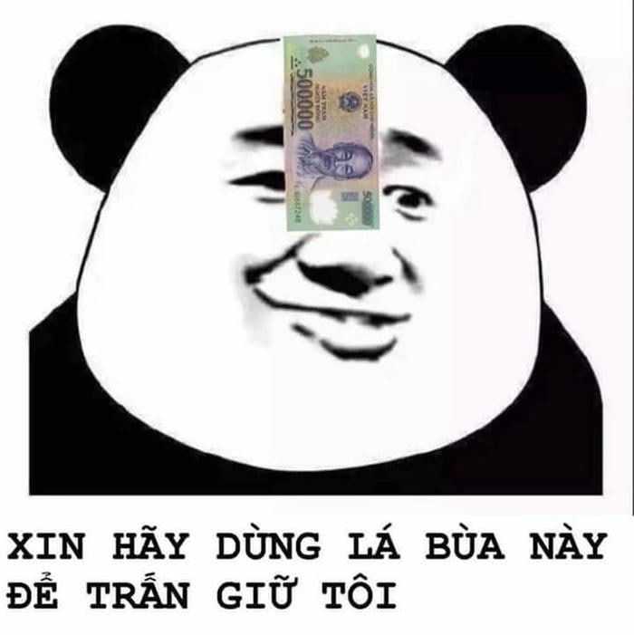 meme gấu panda hài