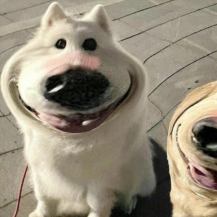 Ảnh bựa meme hài hước vô tri