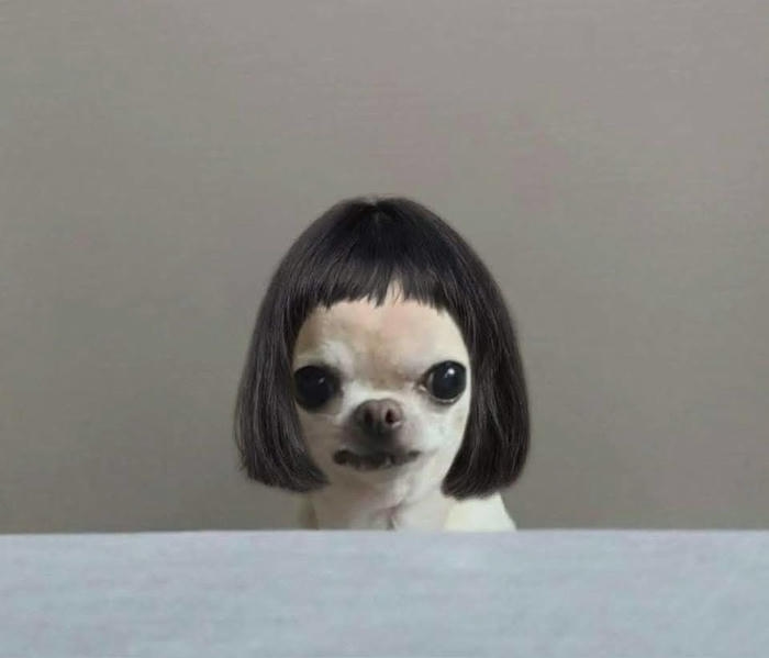 Ảnh meme bựa cười ra nước mắt