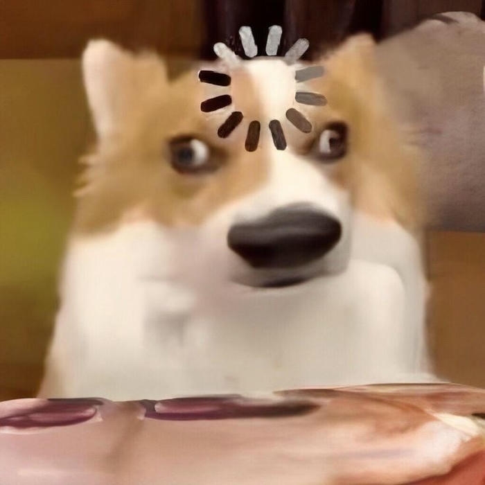 Ảnh meme bựa khó đỡ