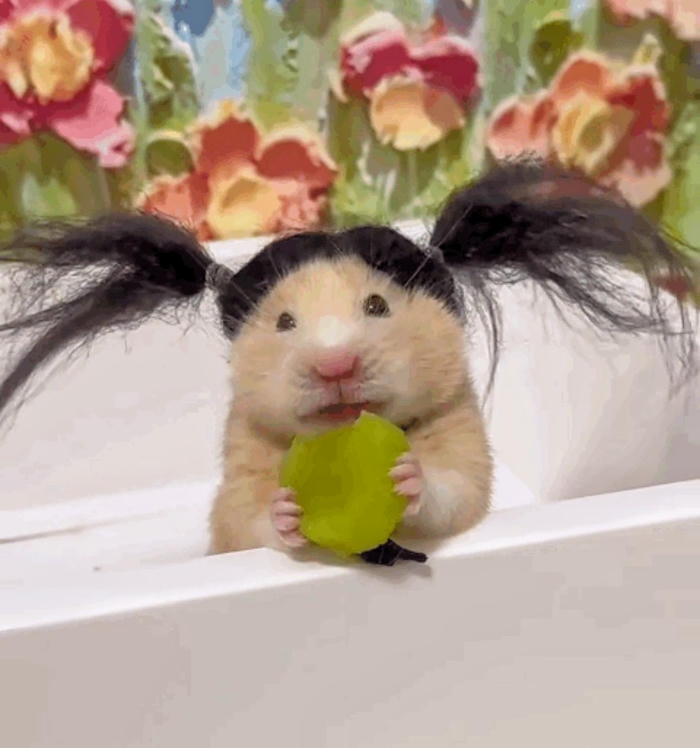 Ảnh meme bựa lầy lội vui nhộn