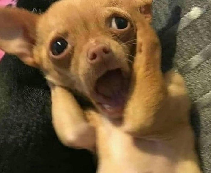 Ảnh meme bựa mặn chát